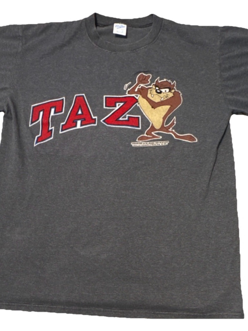 Vintage 90s Taz Looney Tunes Graphic Tee - Adult Large